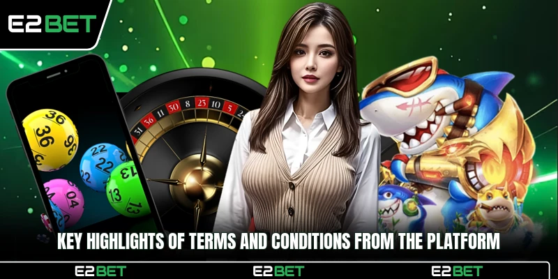 Key highlights of Terms and Conditions from the platform